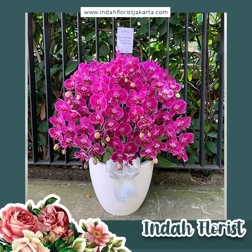 Indah Florist Toko Bunga Florist Terbaik Di Jakarta Selatan